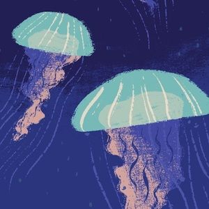 Meet your Posher, Luka